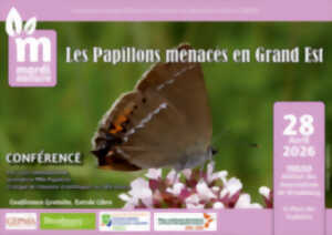 photo Conférence du Mardi Nature : Les papillons menacés en Grand Est