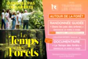 photo TÉ-MA - Autour de la forêt - Randonnée guidée et projection