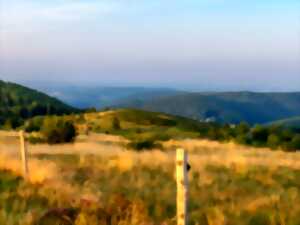 photo Sentiers Plaisir : Sauvegardez nous de la lumière