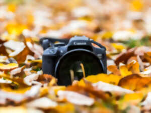 photo Atelier photos 