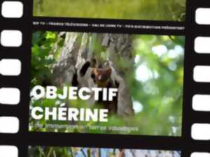 photo Objectif Chérine - Le film !