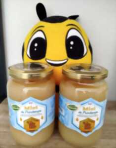 photo Les ruchers de la Salamandre