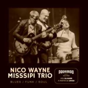 photo Prohibido Biarritz Jazz Club - Nico Wayne MiSSSippi Trio