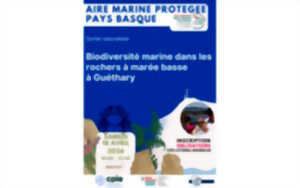 photo Sortie naturaliste : Biodiversité marine dans les rochers à marée basse à Guéthary