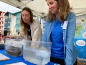 photo Village des Sciences