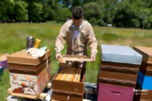 photo Visite guidée : Apiculteur d'un jour