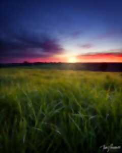 photo Circuit en Chalosse