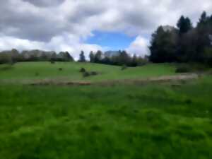 photo Vis ma vie de spécialiste des zones humides