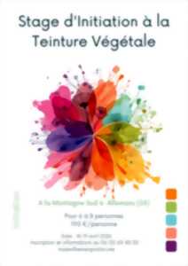 photo Stage d'initiation à la teinture végétale