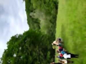 photo Sur la piste des abeilles sauvages