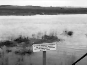 photo Balade photographique dans le havre de Regnéville-sur-Mer avec Hervé Dez