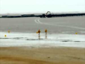 photo Balade : découverte de l'estran