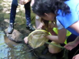 photo Découverte de la faune aquatique