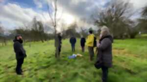 photo Atelier greffe de pommiers