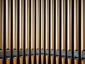 photo Conférence sur l'orgue Stieffell