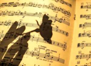 photo Concert de l'ensemble Dulcis Melodia