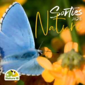 photo Sortie Nature : Fabrication d'Objets