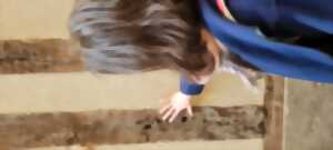 photo La Ville Haute éveille vos sens... - Visite Guidée, sensorielle