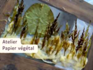 photo Atelier papier végétal au Moulin du Got