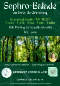 photo Sophro-Balade en forêt de Grimbosq