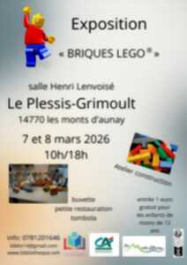 photo Exposition « Briques Lego®» au Plessis Grimoult