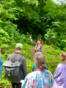 photo Balade guidée sur l'histoire du bocage