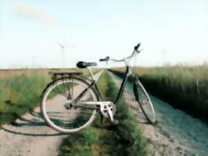 photo Fête du vélo