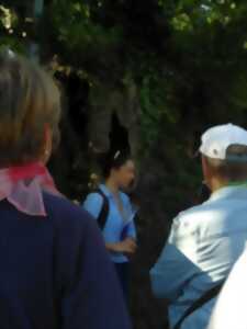 photo Le remembrement : histoire du bocage