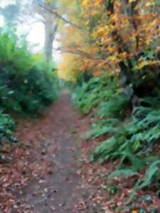 photo Le bocage en baskets