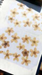 photo Atelier créatif avec fleurs séchées