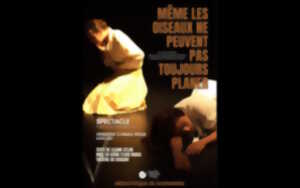 photo Spectacle : Même les oiseaux ne peuvent pas toujours planer