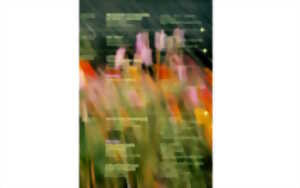 photo Ateliers Manufacture Pays Basque - Yin Yoga