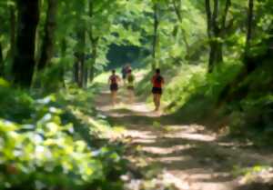 photo La ronde des chataignes
