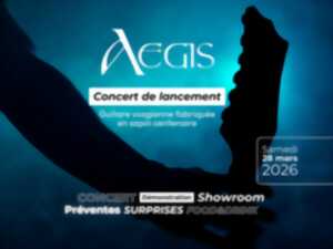 photo Concert de lancement - Aegis guitares