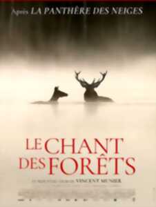 photo Exposition VINCENT MUNIER - Le Chant des Forêts