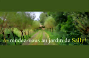 photo Les Rendez-vous de Sally