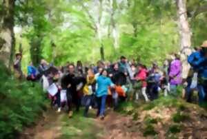 photo La grande chasse aux oeufs au Château de Vaux