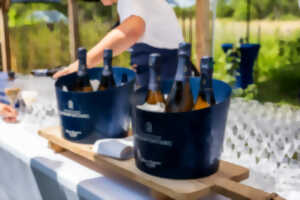 photo Soirée bleue au cœur du vignoble