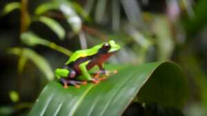 photo Fête des mares