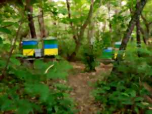 photo SEMAINE DE LA BIODIVERSITÉ - Portes ouvertes de l'association 