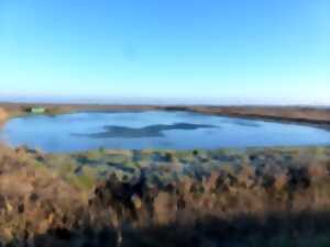 photo SEMAINE DE LA BIODIVERSITÉ - Visite d'une tonne de chasse