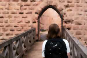 photo Concours d’illustration « Dessine-moi une créature de la terre ! »