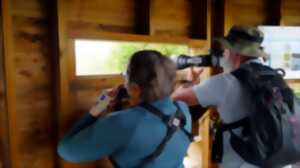 photo Initiation photo nature