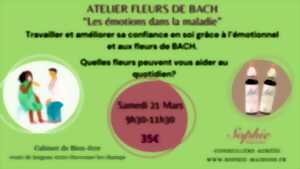 photo Atelier fleurs de Bach 
