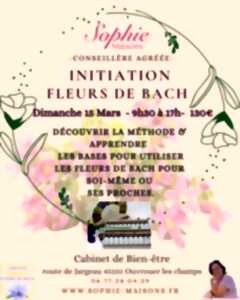 photo Initiation fleurs de Bach