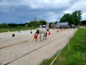 photo Championnat Départemental et Regional d'Endurance Equestre