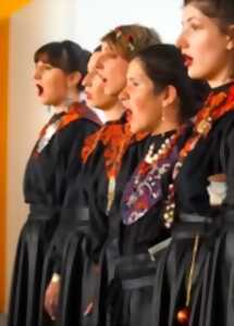 photo [Festival de Boucard]: MIKROKOSMOS