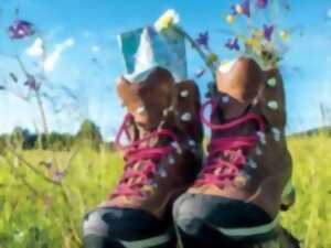 photo Randonnée pédestre - Le Mesnil Germain