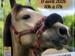 photo Journée portes ouvertes - Crins des Vosges