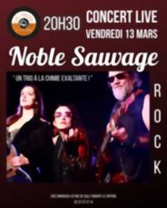 photo Soirée concert chez Margaux avec Noble Sauvage